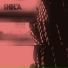 Shela