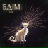 СВД