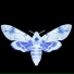 evol777