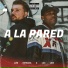 Luis Estrada, Luc Like