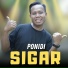 Ponidi