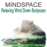 Mindspace