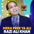 Razi Ali Khan