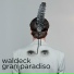 Waldeck feat. la Heidi