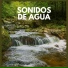 Lluvia del Bosque