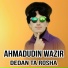 Ahmadudin wazir