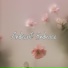 PIANO Instrumental 1