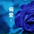 章奕