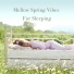 Relaxing BGM Project, Tomohiko Kato