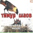 Тимур Шаов
