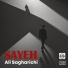 Ali Sagharichi