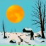 Harsh Conditions