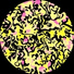 Gofreeze, Aleph M