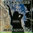 MOLUSKA 13