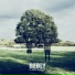 Bebly