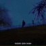 shAmAn (Magic Music)