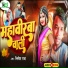 NITISH RAJA