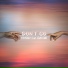Tr3ssly feat. emi emi
