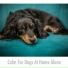 Relaxing Dog Music