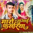 Pawan Halchal
