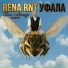 Rena RNT
