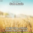 Sleep Music, Relaxing Music, Yoga