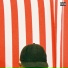 Ameer Vann