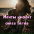 anies birds