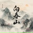 冰洁