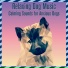 Relaxmydog, Dog Music Dreams, Dog Music