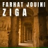 Farhat Jouini