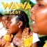 Wawa Salegy