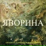 Stefaniuss, Харизматик, Krech, Romo G