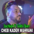 Cheb Kader Wahrani