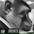 NØ PRINTS
