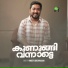 Vineeth Sreenivasan