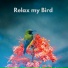 The Bird Relaxer
