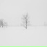 Winter Blizzard Sounds