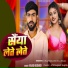 Vikash Bedardi