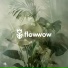 Flowwow