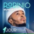 Robinio Mundibu