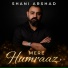 Shani Arshad