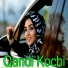 Qandi Kochi