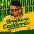 Lipe Gama