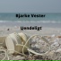 Bjarke Vester