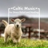 Celtic Spirit