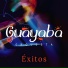 Guayaba Orquesta