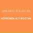 ankaralı polatcan