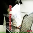 Mr. Backside