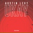 Austin Levy